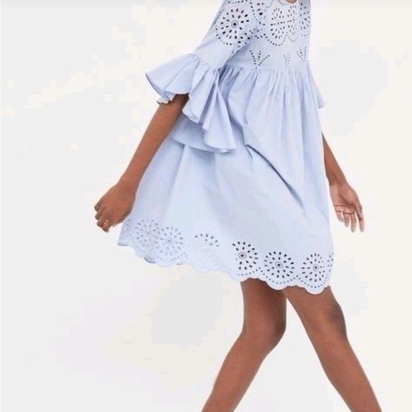 Zara Baby Doll Eyelet Ruffle Mini Dress - Size Small - Picture 2 of 5